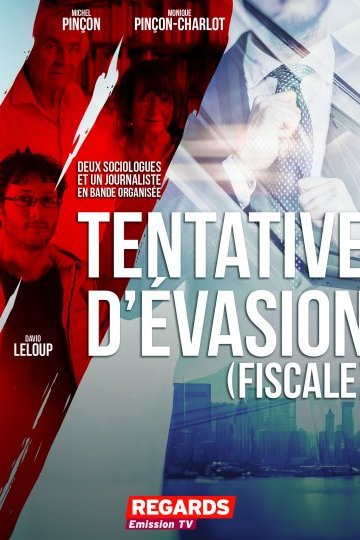 Tentative d'évasion fiscale