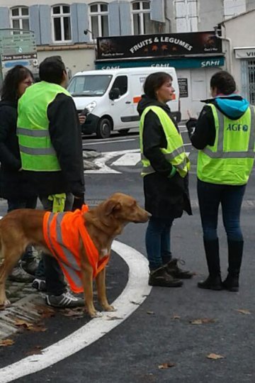 "Gilets jaunes" à St-Pons-de-Thomières : journal de bord