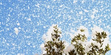 Le programme 2018 et quelques surprises