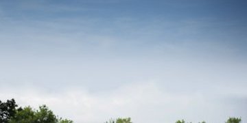 Notre Dame des landes...restez-y !