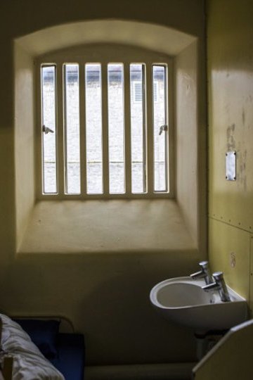 Lettre de Julian Assange au roi d'Angleterre, Charles III