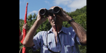 La cigale, le corbeau et les poulets : où voir le film ?