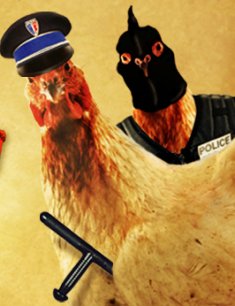 Perquisitions (VIDEO)