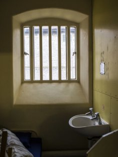 Lettre de Julian Assange au roi d'Angleterre, Charles III